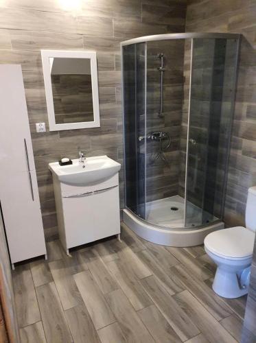 a bathroom with a shower and a sink and a toilet at Sielsko-Anielsko Kobyla Góra I in Ligota