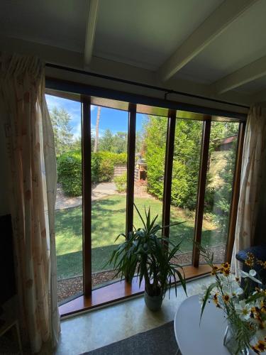 Κήπος έξω από το Gezellig chalet op de Veluwe