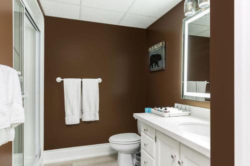 a bathroom with a toilet and a sink and a mirror at Fairy Bay Lakehouse in Huntsville