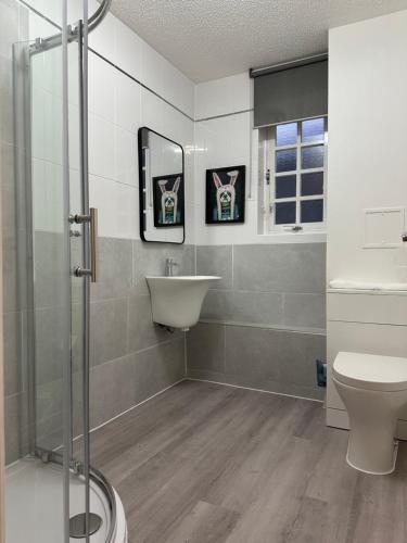 a bathroom with a shower and a sink and a toilet at Causewayside Free parking in Edinburgh