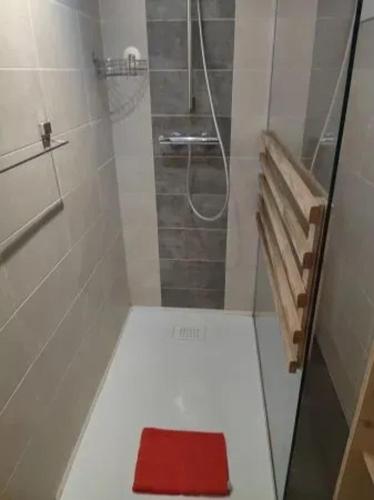 La petite salle de bains est pourvue d'une douche et d'une serviette rouge. dans l'établissement Chalet spacieux avec jardin à La Longeville, à La Longeville