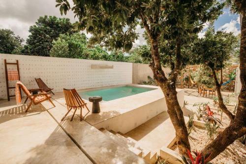 a swimming pool with two chairs and a tree at Wild Valladolid 3BR Oasis w Pool & Yoga Palapa in Valladolid