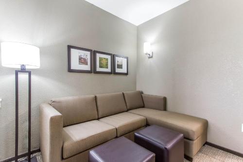 a living room with a couch and a lamp at Comfort Suites West Omaha in Omaha