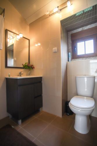 a bathroom with a toilet and a sink and a mirror at Casa do Avô in Sortelha