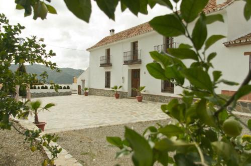 Rural Montes Málaga: Cortijo La Palma photo 7