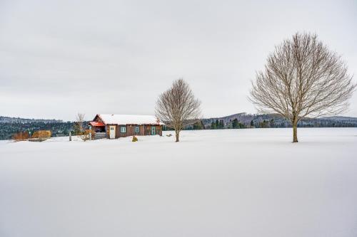 two trees and a house in a snow covered field at Ride From Your Door Cabin with VAST Trail Access! in Hardwick