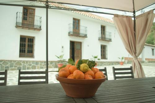 Gallery image of Rural Montes Málaga: Cortijo La Palma in Málaga