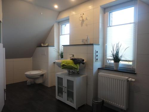 une salle de bain avec toilettes, lavabo et fenêtre dans l'établissement Groß Kölzig - Moderne Ferienwohnung in ländlicher Idylle, à Neiße-Malxetal