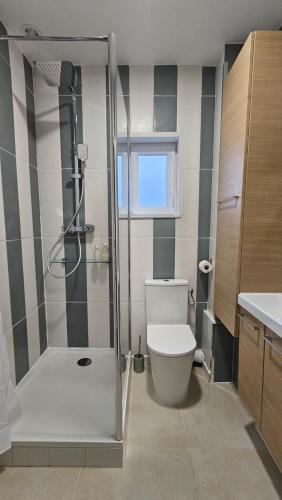 une salle de bain avec douche et toilettes dans l'établissement Appartement coloré proche du centre ville et de la gare, à Deauville
