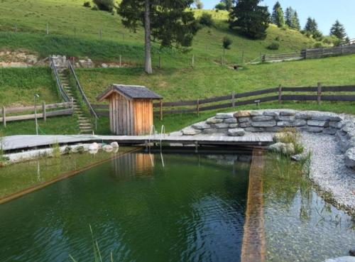 a pond with a small wooden structure in a field at Sonnleit'n Zimmer 6 in Abtenau