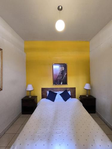 Кровать или кровати в номере Flying Dog Hostel