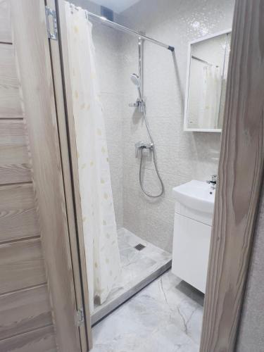 a bathroom with a shower and a sink at studio apartment in Vilnius
