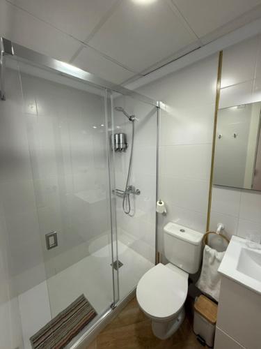 łazienka z prysznicem, toaletą i umywalką w obiekcie Citrus Suite by Alhaurín Loft City Center w mieście Alhaurín de la Torre