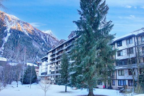 a large building with a tree in the snow at Les Marmottes En Chaussettes - Happy Rentals in Chamonix-Mont-Blanc