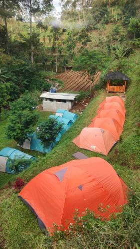 a row of orange umbrellas on a grassy hill at D'Sentra Riverside Camp in Pengalengan