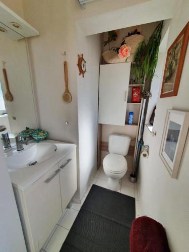 une petite salle de bain avec toilettes et lavabo dans l'établissement PARIS AUTHENTIC HOUSE 2 Maisons 1 studio ideale pour groupes, capacité 30 personnes, à Paris