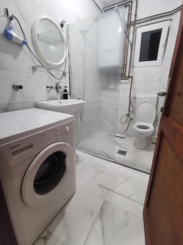 a bathroom with a washing machine and a sink at 2 BDR Family Apartment In Sarajevo - Free Parking in Sarajevo