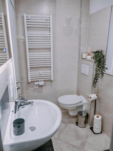 a white bathroom with a toilet and a sink at Charmantes schickes Apartment in Neuenstadt am Kocher
