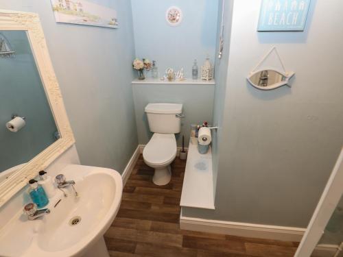 a bathroom with a white toilet and a sink at West Wing Cottage in Sandhoe