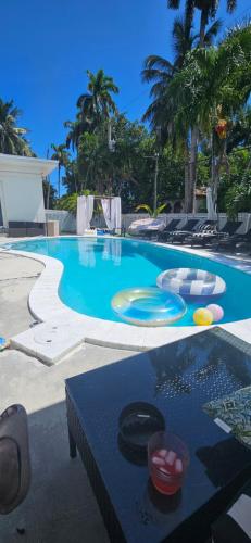 a large swimming pool with a table in front of it at Pool Paradise Half mile to Beach w Massive Yard! in Hollywood