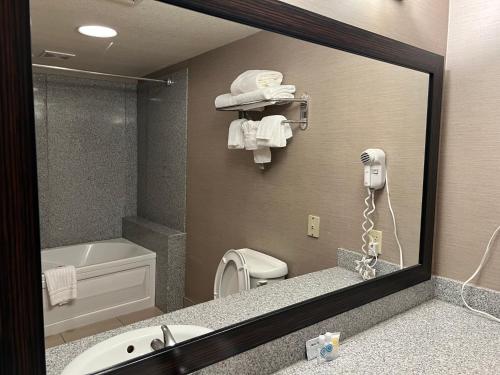 a bathroom mirror with a sink and a toilet at Comfort Suites Boise West Meridian in Meridian