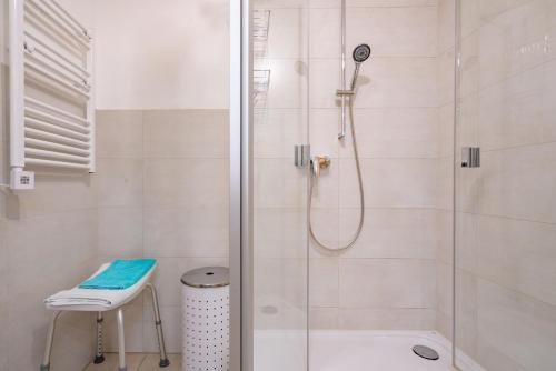 a bathroom with a shower with a glass door at Ferienwohnungen Christoph in der Edelweißstraße in Pfaffing