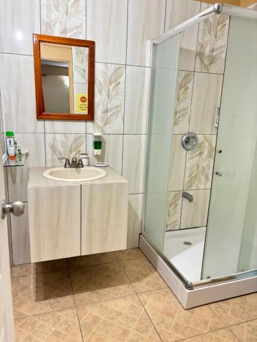 a bathroom with a shower and a sink at Matthew's Miracle View in Roseau