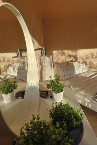 a mirror and two potted plants on a table at River's Edge Glamping in Clearwater