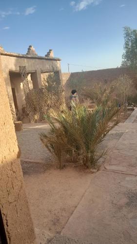 a house with a bunch of plants in front of it at Dar Tamzdamte Skoura in Skoura