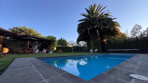 a swimming pool in a yard with a palm tree at Rukka Lodge in Tumbaco
