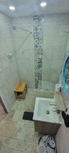 a bathroom with a shower and a white sink at The Red Door Beach House, Buye Beach in Cabo Rojo