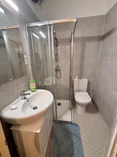 une salle de bain avec une douche, un lavabo et des toilettes dans l'établissement Appartement Nice centre ville gare, à Nice