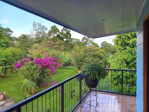 a balcony with a view of a garden at Azulita Oasis, Family-Sized Loft With Pool & Large Outdoor Areas in Aguas Zarcas