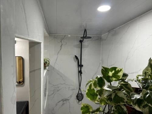 a shower in a bathroom with a plant at Azulita Oasis, Family-Sized Loft With Pool & Large Outdoor Areas in Aguas Zarcas