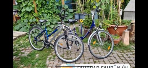 two bikes parked next to each other in a garden at HEUHOTEL FARM Own sleeping bag Free WiFi in Hausbreitenbach