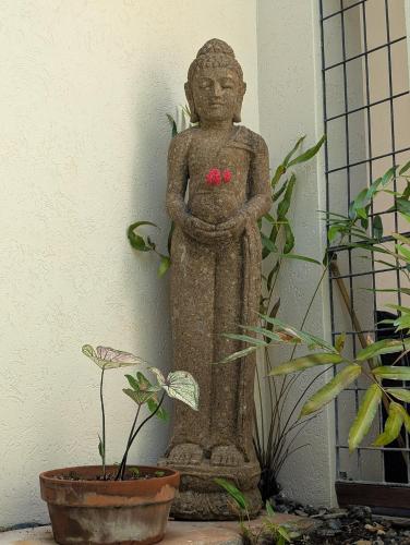 a statue of a person holding a pink flower at The Villas Palm Cove in Palm Cove