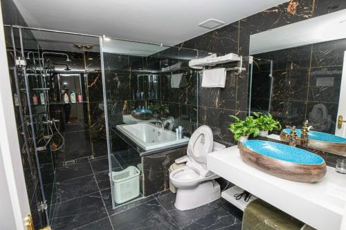 a bathroom with a sink and a toilet and a shower at Hibiki Apartment in Hanoi