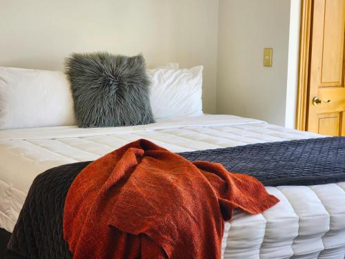 U Suites on Courtenay