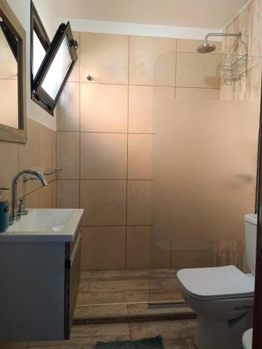 a bathroom with a toilet and a sink at Glak Apart Urdinarrain in Urdinarrain