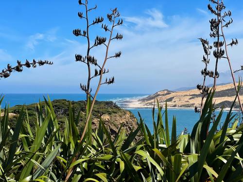 a view of the ocean from the beach at 'Noni's House' Coastal Opononi Hokianga in Opononi