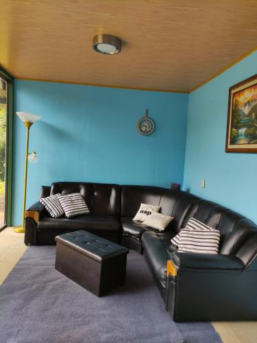 a black leather couch in a room with a blue wall at Amphibia House in Agua Azul