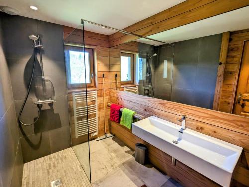 une salle de bain avec un lavabo et une douche dans l'établissement Chalet rénové calme avec terrasse et cheminée à Ventron - FR-1-589-783, à Ventron