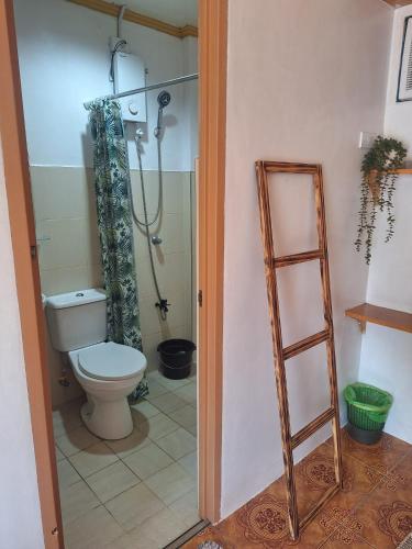 a bathroom with a toilet and a shower and a ladder at Japitan Waterfront Resort in Dolores