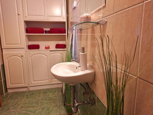 a bathroom with a sink and a mirror at WatAir House Apartman Sarud in Sarud