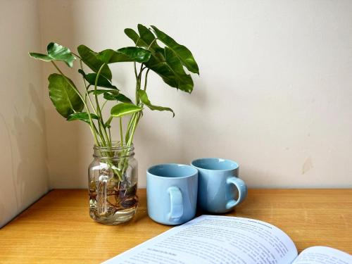 a vase with a plant on a table next to two cups at Town Inn Hotel - Rainforest in Jerantut
