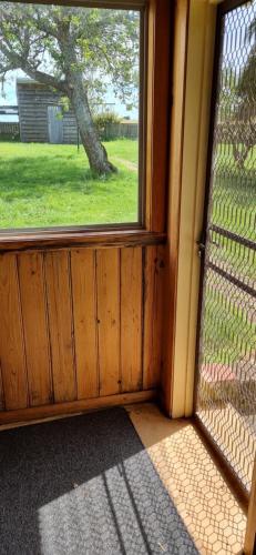 a window in a room with a view of a yard at Belle Cottage in Scottsdale