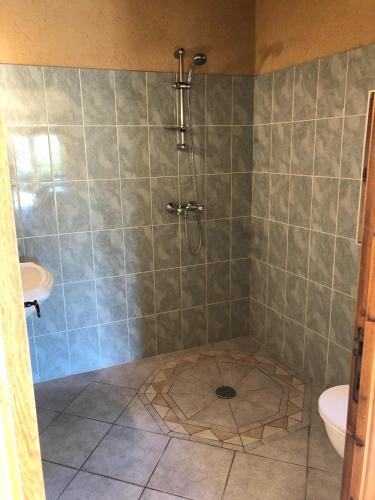 une salle de bain avec douche et toilettes dans l'établissement La Fleurie, à Marquay