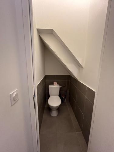 - une petite salle de bains mansardée avec toilettes dans l'établissement chambre meublée Nantaise dans un T3 commun avec terrasse, à Nantes