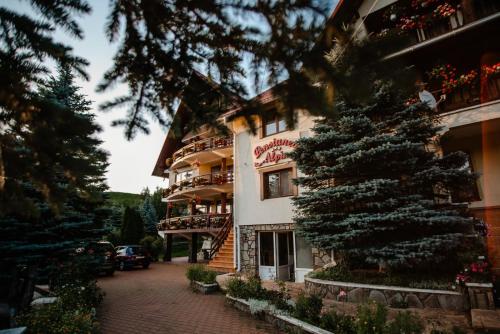 Gallery image of Pensiunea Alpin in Durau