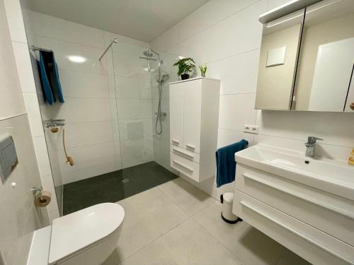 KraichtalにあるVilla Auenlandのシャワー、トイレ、洗面台を備えたバスルーム